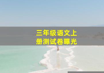 三年级语文上册测试卷曝光