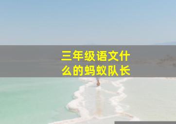 三年级语文什么的蚂蚁队长