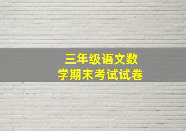 三年级语文数学期末考试试卷