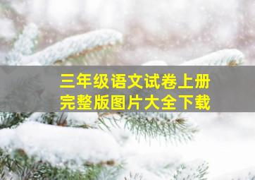 三年级语文试卷上册完整版图片大全下载