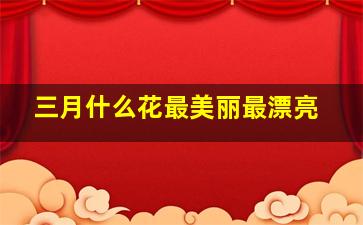 三月什么花最美丽最漂亮