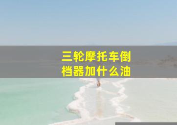 三轮摩托车倒档器加什么油