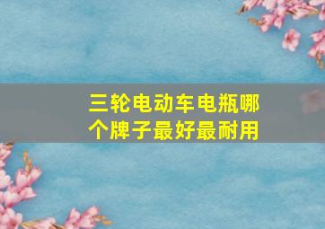 三轮电动车电瓶哪个牌子最好最耐用