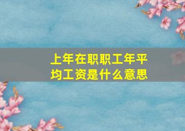 上年在职职工年平均工资是什么意思