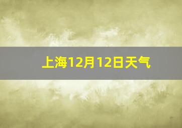 上海12月12日天气