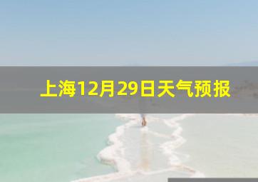 上海12月29日天气预报