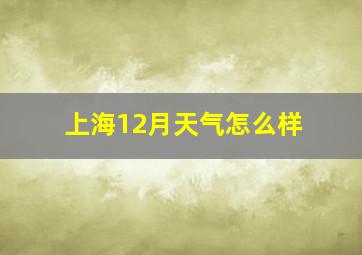 上海12月天气怎么样