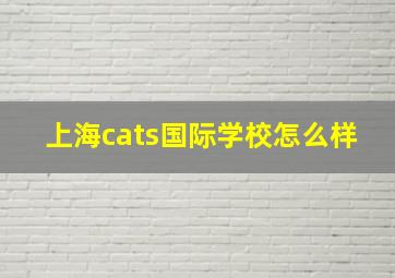 上海cats国际学校怎么样