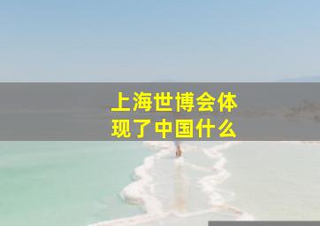 上海世博会体现了中国什么