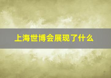 上海世博会展现了什么