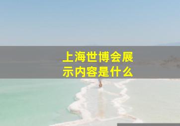 上海世博会展示内容是什么