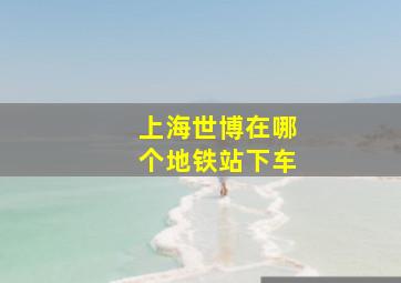 上海世博在哪个地铁站下车