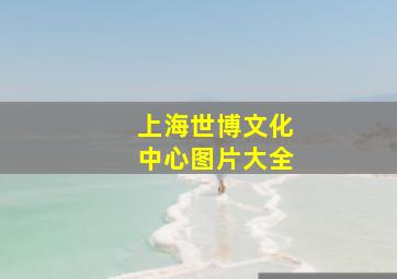 上海世博文化中心图片大全