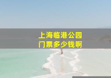 上海临港公园门票多少钱啊