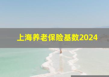 上海养老保险基数2024