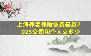 上海养老保险缴费基数2023公司和个人交多少