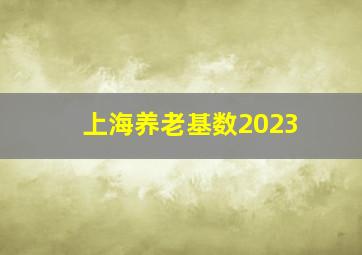 上海养老基数2023