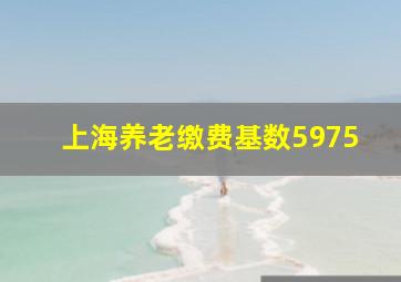 上海养老缴费基数5975