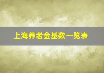 上海养老金基数一览表