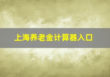 上海养老金计算器入口