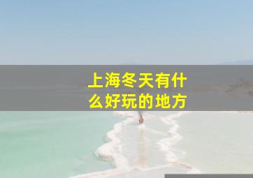 上海冬天有什么好玩的地方