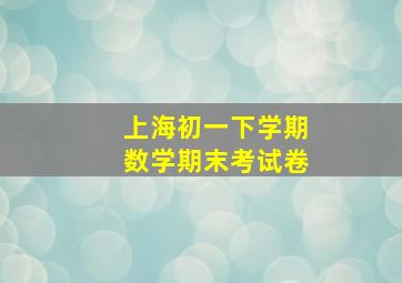 上海初一下学期数学期末考试卷