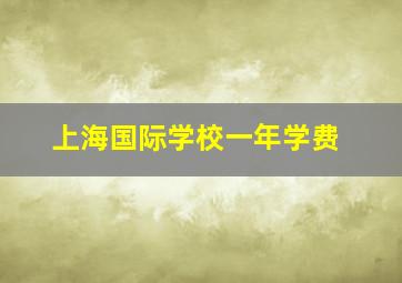 上海国际学校一年学费