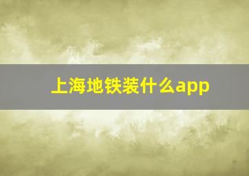 上海地铁装什么app