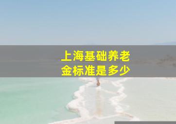 上海基础养老金标准是多少