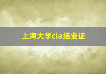 上海大学cia结业证