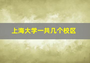 上海大学一共几个校区