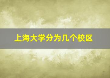 上海大学分为几个校区