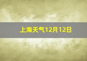 上海天气12月12日