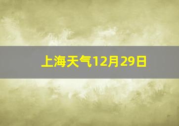 上海天气12月29日