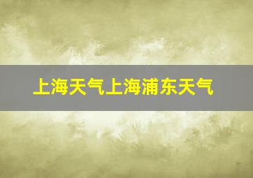 上海天气上海浦东天气