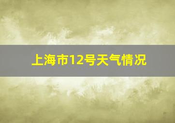 上海市12号天气情况