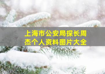 上海市公安局探长周杰个人资料图片大全