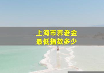 上海市养老金最低指数多少