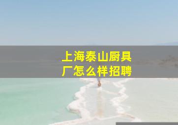 上海泰山厨具厂怎么样招聘