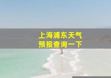 上海浦东天气预报查询一下