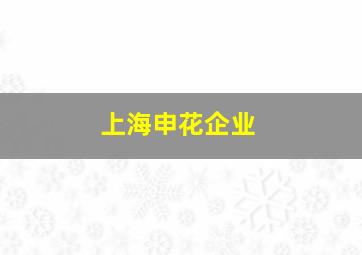 上海申花企业