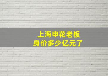 上海申花老板身价多少亿元了