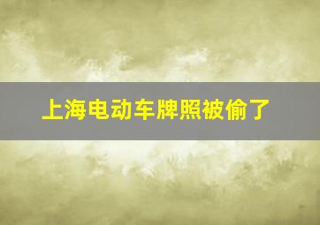 上海电动车牌照被偷了