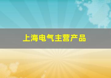 上海电气主营产品