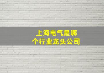 上海电气是哪个行业龙头公司