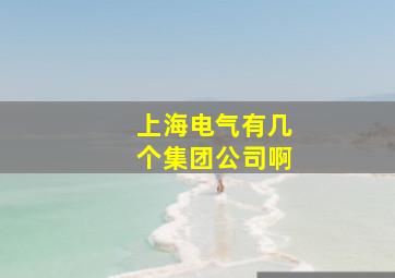 上海电气有几个集团公司啊