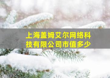 上海盖姆艾尔网络科技有限公司市值多少