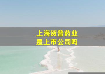 上海贺普药业是上市公司吗