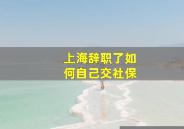 上海辞职了如何自己交社保