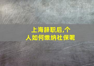 上海辞职后,个人如何缴纳社保呢